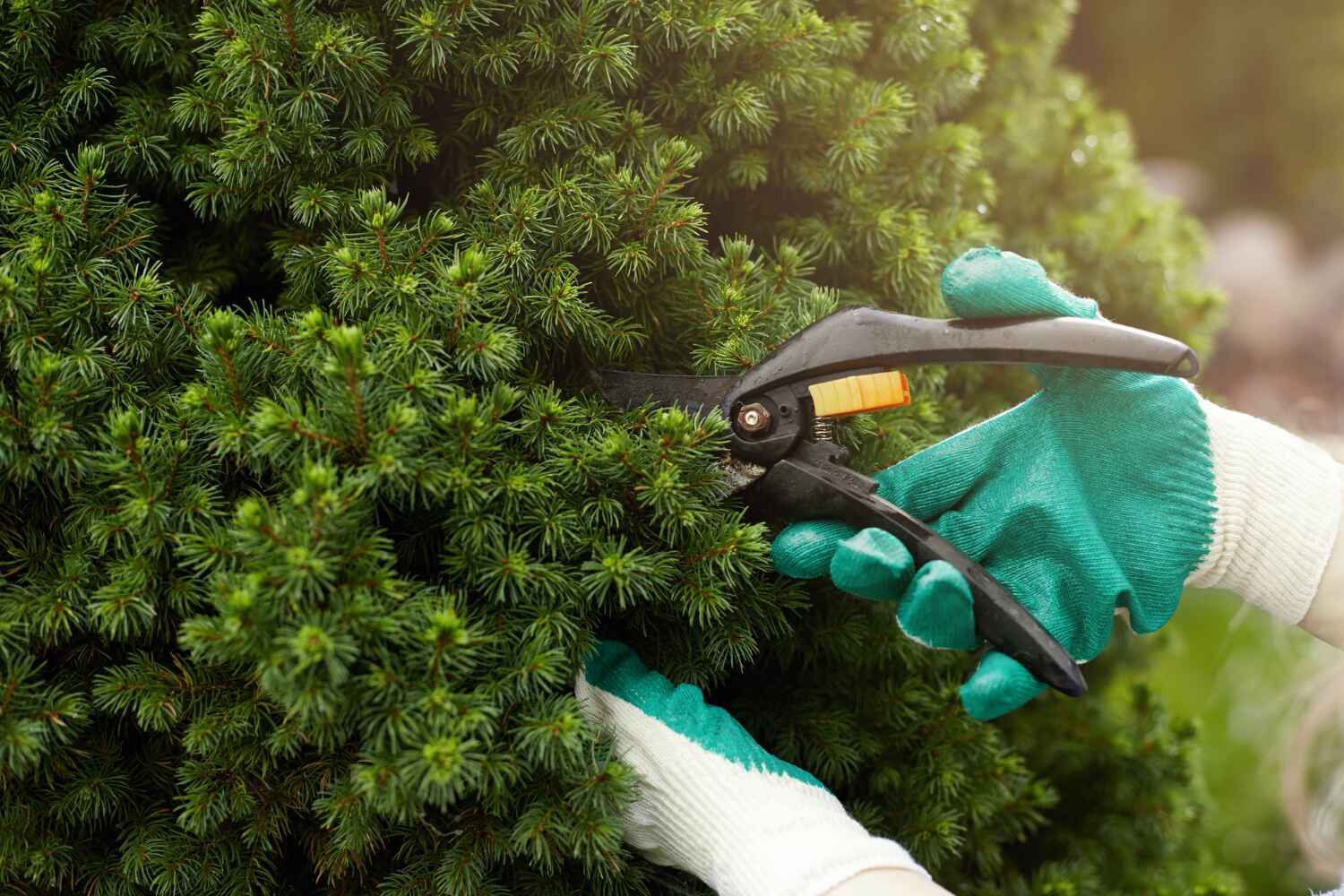 Best Tree Clearing Services  in Northville, MI